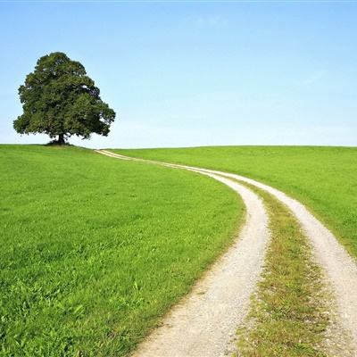 域网棋牌手机app下载